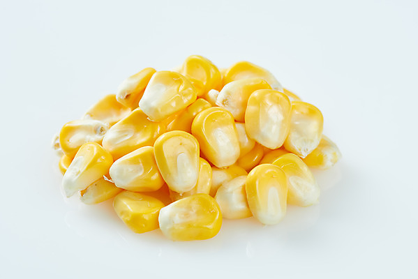 포토 JPG 스튜디오촬영 식재료 곡류 실내 옥수수 누끼 근접촬영 사람없음 흰색 신선 흰배경 유기농 옥수수알갱이 제철음식 초당옥수수 국내포토 웰빙 음식 뷰포인트 컬러 백그라운드 내부 제철 파일형식