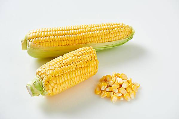 포토 JPG 스튜디오촬영 식재료 곡류 실내 옥수수 누끼 사람없음 하이앵글 흰색 신선 흰배경 유기농 옥수수알갱이 제철음식 초당옥수수 국내포토 웰빙 음식 뷰포인트 컬러 백그라운드 내부 제철 파일형식