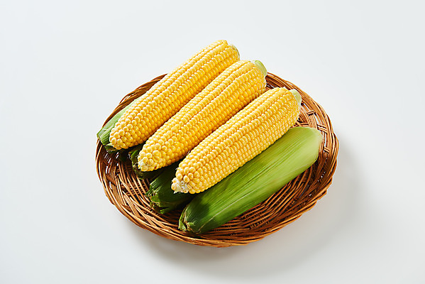 포토 JPG 스튜디오촬영 식재료 곡류 실내 옥수수 누끼 사람없음 하이앵글 바구니 소쿠리 여러개 흰색 신선 흰배경 유기농 제철음식 초당옥수수 국내포토 웰빙 음식 뷰포인트 컬러 다수 백그라운드 내부 제철 파일형식