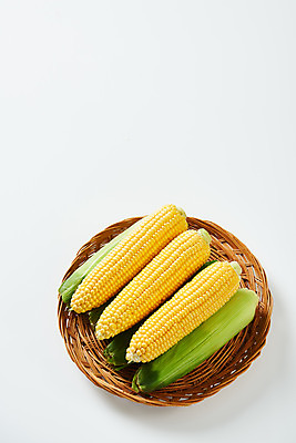 포토 JPG 스튜디오촬영 식재료 곡류 실내 옥수수 누끼 사람없음 하이앵글 여러개 흰색 신선 흰배경 유기농 제철음식 국내포토 웰빙 음식 뷰포인트 컬러 다수 백그라운드 내부 제철 파일형식