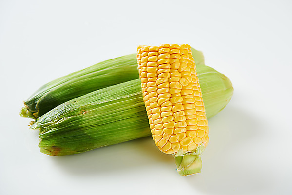 포토 JPG 스튜디오촬영 식재료 곡류 실내 옥수수 누끼 사람없음 하이앵글 흰색 신선 세개 흰배경 유기농 제철음식 초당옥수수 국내포토 웰빙 음식 뷰포인트 컬러 백그라운드 3 내부 제철 파일형식
