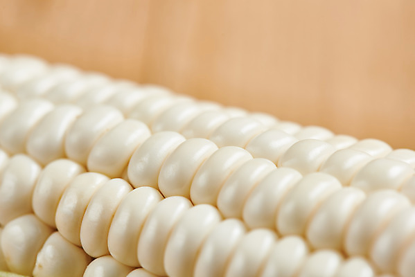 포토 JPG 스튜디오촬영 식재료 곡류 실내 옥수수 누끼 근접촬영 사람없음 한개 신선 유기농 찰옥수수 제철음식 나무배경 국내포토 1 웰빙 음식 뷰포인트 백그라운드 내부 제철 파일형식