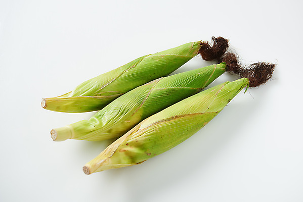 포토 JPG 스튜디오촬영 식재료 곡류 실내 옥수수 누끼 사람없음 하이앵글 흰색 신선 세개 흰배경 유기농 찰옥수수 제철음식 국내포토 웰빙 음식 뷰포인트 컬러 백그라운드 3 내부 제철 파일형식