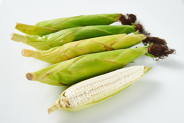 포토 JPG 스튜디오촬영 식재료 곡류 실내 옥수수 누끼 사람없음 하이앵글 여러개 흰색 신선 흰배경 유기농 찰옥수수 제철음식 국내포토 웰빙 음식 뷰포인트 컬러 다수 백그라운드 내부 제철 파일형식