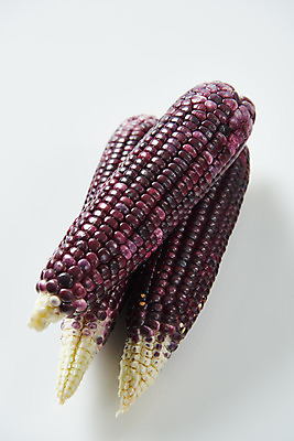 포토 JPG 스튜디오촬영 식재료 곡류 실내 옥수수 누끼 사람없음 하이앵글 흰색 신선 세개 흰배경 유기농 찰옥수수 제철음식 흑찰옥수수 국내포토 웰빙 음식 뷰포인트 컬러 백그라운드 3 내부 제철 파일형식