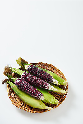 포토 JPG 스튜디오촬영 식재료 곡류 실내 옥수수 누끼 사람없음 하이앵글 바구니 소쿠리 여러개 흰색 신선 흰배경 유기농 찰옥수수 제철음식 흑찰옥수수 국내포토 웰빙 음식 뷰포인트 컬러 다수 백그라운드 내부 제철 파일형식