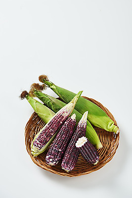 포토 JPG 스튜디오촬영 식재료 곡류 실내 옥수수 누끼 사람없음 하이앵글 바구니 소쿠리 여러개 흰색 신선 흰배경 유기농 찰옥수수 제철음식 흑찰옥수수 국내포토 웰빙 음식 뷰포인트 컬러 다수 백그라운드 내부 제철 파일형식