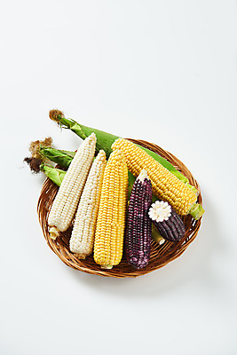 포토 JPG 스튜디오촬영 식재료 곡류 실내 옥수수 누끼 사람없음 하이앵글 바구니 소쿠리 여러개 흰색 신선 흰배경 유기농 찰옥수수 제철음식 초당옥수수 흑찰옥수수 국내포토 웰빙 음식 뷰포인트 컬러 다수 백그라운드 내부 제철 파일형식