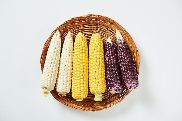 포토 JPG 스튜디오촬영 식재료 곡류 실내 옥수수 누끼 사람없음 하이앵글 바구니 소쿠리 여러개 흰색 신선 흰배경 유기농 찰옥수수 플랫레이 제철음식 초당옥수수 흑찰옥수수 국내포토 웰빙 음식 뷰포인트 컬러 다수 백그라운드 내부 플랫 제철 파일형식
