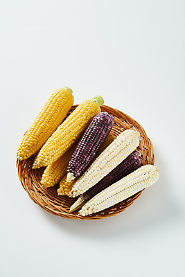 포토 JPG 스튜디오촬영 식재료 곡류 실내 옥수수 누끼 사람없음 하이앵글 바구니 소쿠리 여러개 흰색 신선 흰배경 유기농 찰옥수수 제철음식 초당옥수수 흑찰옥수수 국내포토 웰빙 음식 뷰포인트 컬러 다수 백그라운드 내부 제철 파일형식
