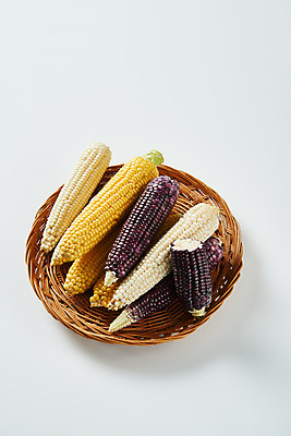포토 JPG 스튜디오촬영 식재료 곡류 실내 옥수수 누끼 사람없음 하이앵글 바구니 소쿠리 흰색 신선 흰배경 유기농 찰옥수수 제철음식 초당옥수수 흑찰옥수수 국내포토 웰빙 음식 뷰포인트 컬러 백그라운드 내부 제철 파일형식