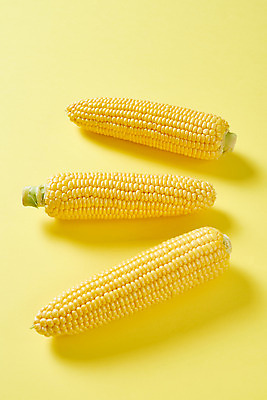 포토 JPG 스튜디오촬영 식재료 곡류 실내 옥수수 누끼 사람없음 하이앵글 노란색 신선 세개 유기농 노란배경 제철음식 초당옥수수 국내포토 웰빙 음식 뷰포인트 컬러 백그라운드 3 내부 제철 파일형식