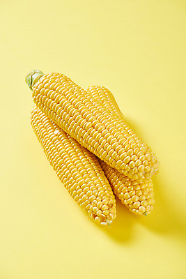 포토 JPG 스튜디오촬영 식재료 곡류 실내 옥수수 누끼 사람없음 하이앵글 노란색 신선 세개 유기농 노란배경 제철음식 초당옥수수 국내포토 웰빙 음식 뷰포인트 컬러 백그라운드 3 내부 제철 파일형식