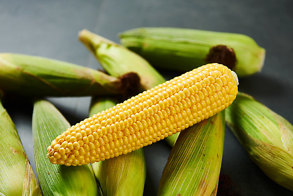 포토 JPG 스튜디오촬영 식재료 검은배경 곡류 실내 옥수수 누끼 사람없음 하이앵글 여러개 신선 유기농 제철음식 초당옥수수 국내포토 웰빙 음식 뷰포인트 다수 백그라운드 내부 검은색 제철 파일형식