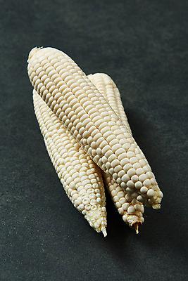 포토 JPG 스튜디오촬영 식재료 검은배경 곡류 실내 옥수수 누끼 사람없음 하이앵글 신선 세개 유기농 제철음식 국내포토 웰빙 음식 뷰포인트 백그라운드 3 내부 검은색 제철 파일형식