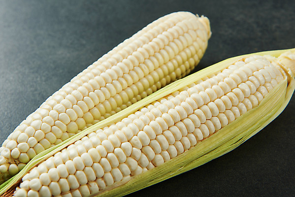포토 JPG 스튜디오촬영 식재료 검은배경 곡류 실내 옥수수 누끼 근접촬영 사람없음 두개 신선 유기농 찰옥수수 제철음식 국내포토 웰빙 음식 뷰포인트 백그라운드 2 내부 검은색 제철 파일형식