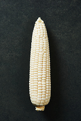 포토 JPG 스튜디오촬영 식재료 검은배경 곡류 실내 옥수수 누끼 사람없음 하이앵글 한개 신선 유기농 찰옥수수 플랫레이 제철음식 국내포토 1 웰빙 음식 뷰포인트 백그라운드 내부 검은색 플랫 제철 파일형식
