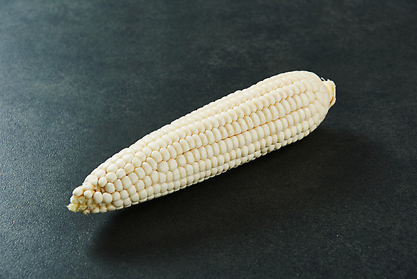 포토 JPG 스튜디오촬영 식재료 검은배경 곡류 실내 옥수수 누끼 사람없음 하이앵글 한개 신선 유기농 찰옥수수 제철음식 국내포토 1 웰빙 음식 뷰포인트 백그라운드 내부 검은색 제철 파일형식
