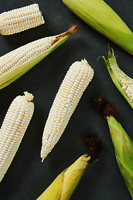 포토 JPG 스튜디오촬영 식재료 곡류 실내 옥수수 누끼 사람없음 하이앵글 여러개 신선 유기농 찰옥수수 플랫레이 제철음식 국내포토 웰빙 음식 뷰포인트 다수 내부 플랫 제철 파일형식