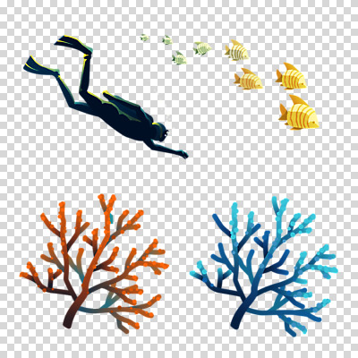 편집이미지 바다 여행 어류 한명 누끼 사람 여름 여름휴가 바캉스 컬러풀 해저 산호초 잠수부 시원함 다이빙 스쿠버다이빙 힐링 PNG 편집소스 물고기떼 1 계절 컬러 휴가 바닷속 수영 수중동물 수상스포츠 수중식물 전문직 수중스포츠 파일형식 여름_계절