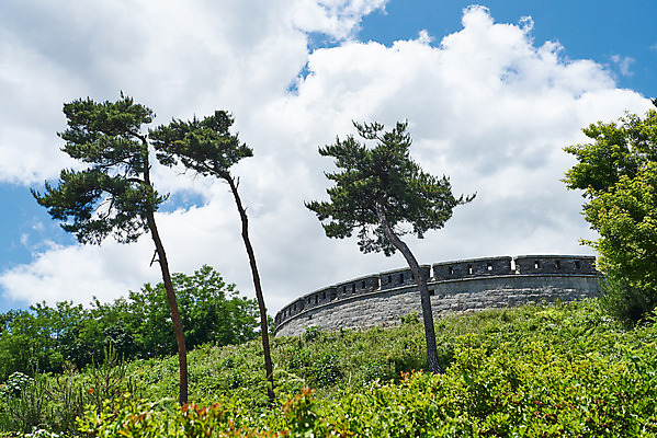 포토 JPG 주간 나무 구름 한국전통 여행 유적지 하늘 풍경 사람없음 야외 관광지 맑음 봄 문화재 역사 한국사 강화도 광성보 국내여행 사적지 신미양요 국내포토 자연요소 식물 전통 계절 고건축 날씨 한국 인천 파일형식
