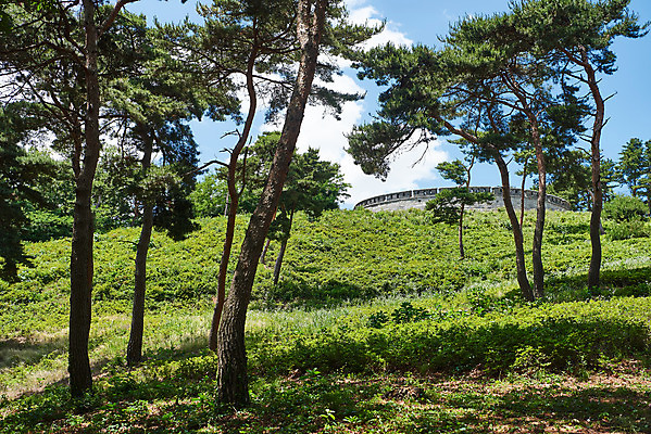 포토 JPG 주간 나무 한국전통 여행 유적지 풍경 사람없음 야외 관광지 맑음 봄 문화재 역사 한국사 강화도 광성보 국내여행 사적지 손돌목돈대 신미양요 국내포토 자연요소 식물 전통 계절 고건축 날씨 한국 인천 파일형식