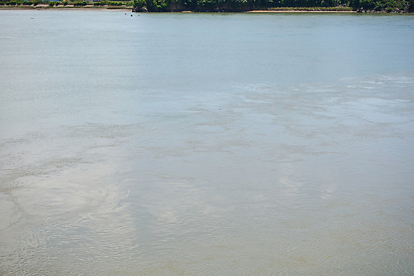 포토 JPG 주간 한국전통 여행 유적지 풍경 사람없음 야외 관광지 맑음 봄 문화재 역사 한국사 강화도 광성보 국내여행 사적지 신미양요 용두돈대 국내포토 자연요소 전통 계절 고건축 날씨 한국 인천 파일형식