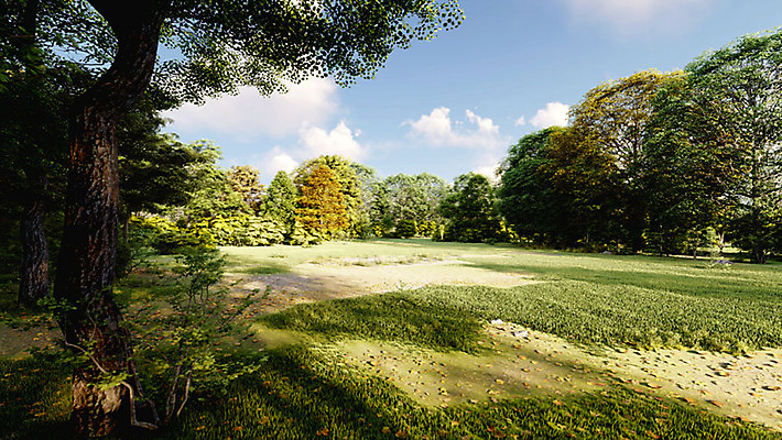 주간 PSD 나무 편집이미지 백그라운드 풍경 잔디 사람없음 야외 여름 3D소스 디지털합성 광장 편집실사 편집3D 자연요소 식물 계절 3D CG 파일형식