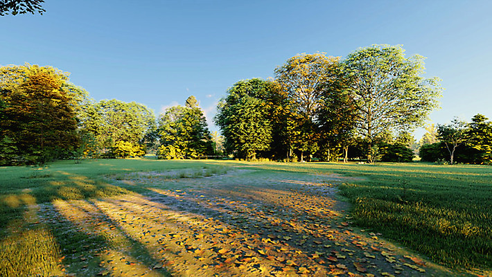 주간 PSD 나무 편집이미지 백그라운드 풍경 잔디 사람없음 야외 여름 3D소스 디지털합성 광장 편집실사 편집3D 자연요소 식물 계절 3D CG 파일형식