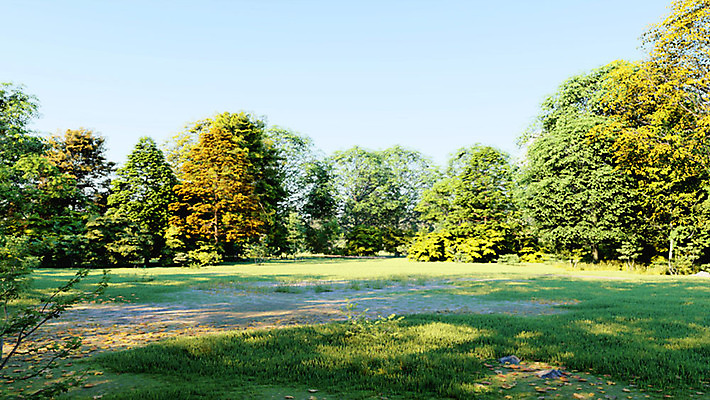 주간 PSD 나무 편집이미지 백그라운드 풍경 잔디 사람없음 야외 여름 3D소스 디지털합성 광장 편집실사 편집3D 자연요소 식물 계절 3D CG 파일형식