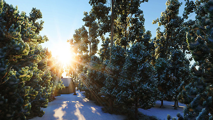 주간 PSD 나무 편집이미지 백그라운드 겨울 풍경 사람없음 야외 햇빛 3D소스 눈 숲속 디지털합성 편집실사 편집3D 자연요소 식물 계절 날씨 태양 3D 숲 CG 파일형식