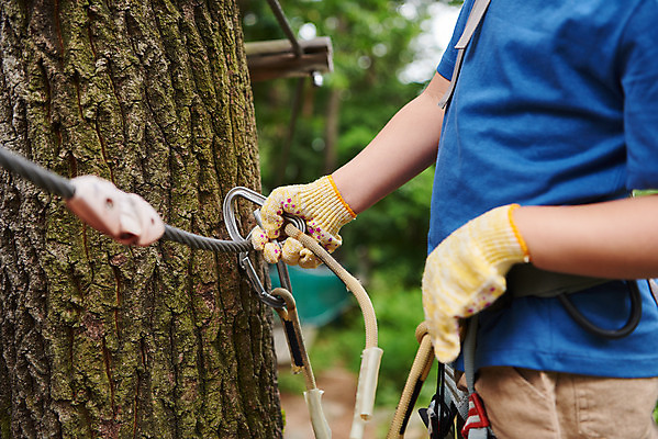 포토 JPG 주간 나무 남자 어린이라이프 초등학생 어린이 밧줄 레저 한명 소년 상반신 야외 옆모습 한국인 도전 체험 자신감 숲 헬멧 안전장비 즐거움 건너기 어드벤처 용인 소년한명만 국내포토 자연요소 식물 1 학생 라이프스타일 감정 줄 뷰포인트 컨셉 모션 안전 사람 동양인 장비 보호장비 경기도 남자한명만 소년만 파일형식