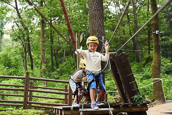 포토 JPG 주간 전신 나무 여자 남자 초등학생 어린이 레저 미소 소녀 소년 야외 두명 앞모습 친구 한국인 도전 체험 자신감 숲 헬멧 안전장비 즐거움 건너기 어드벤처 용인 어린이만 국내포토 자연요소 식물 학생 감정 뷰포인트 컨셉 관계 모션 표정 안전 사람 동양인 장비 보호장비 경기도 파일형식