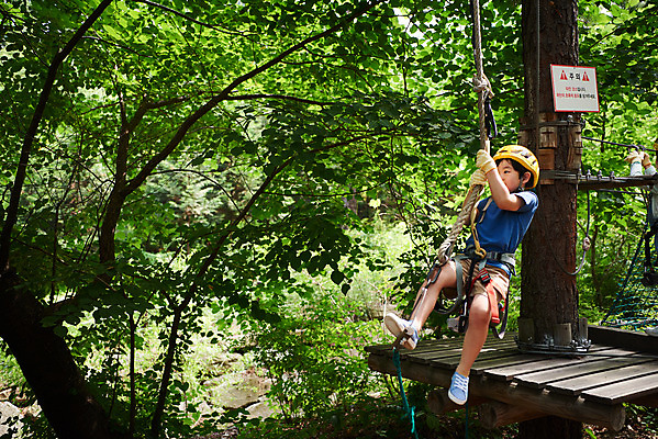 포토 JPG 주간 전신 나무 남자 어린이라이프 초등학생 어린이 밧줄 레저 매달리기 한명 소년 야외 옆모습 한국인 도전 체험 자신감 숲 헬멧 안전장비 즐거움 어드벤처 용인 소년한명만 국내포토 자연요소 식물 1 학생 라이프스타일 감정 줄 뷰포인트 컨셉 모션 안전 사람 동양인 장비 보호장비 경기도 남자한명만 소년만 파일형식