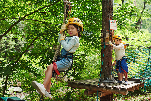 포토 JPG 주간 전신 나무 여자 남자 초등학생 어린이 레저 매달리기 소녀 소년 야외 두명 앞모습 옆모습 친구 한국인 도전 체험 자신감 숲 헬멧 안전장비 즐거움 건너기 어드벤처 용인 어린이만 국내포토 자연요소 식물 학생 감정 뷰포인트 컨셉 관계 모션 안전 사람 동양인 장비 보호장비 경기도 파일형식