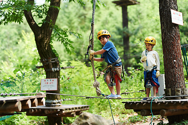 포토 JPG 주간 전신 나무 남자 초등학생 어린이 밧줄 레저 소년 야외 두명 옆모습 친구 한국인 도전 체험 자신감 숲 헬멧 안전장비 즐거움 건너기 어드벤처 용인 소년만 국내포토 자연요소 식물 학생 감정 줄 뷰포인트 컨셉 관계 모션 안전 사람 동양인 장비 보호장비 경기도 남자만 어린이만 파일형식