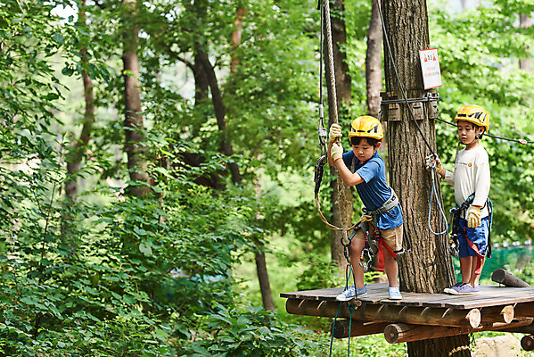 포토 JPG 주간 전신 나무 남자 초등학생 어린이 밧줄 레저 매달리기 서기 소년 야외 두명 옆모습 친구 한국인 도전 체험 자신감 숲 헬멧 안전장비 즐거움 건너기 어드벤처 용인 소년만 국내포토 자연요소 식물 학생 감정 줄 뷰포인트 컨셉 관계 모션 안전 사람 동양인 장비 보호장비 경기도 남자만 어린이만 파일형식