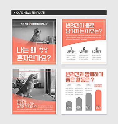 PSD 템플릿 반려견 분홍색 웹템플릿 두마리 사람없음 골든리트리버 고독 반려 카드뉴스 이미지템플릿 감정 컬러 2 반려동물 개 리트리버 파일형식