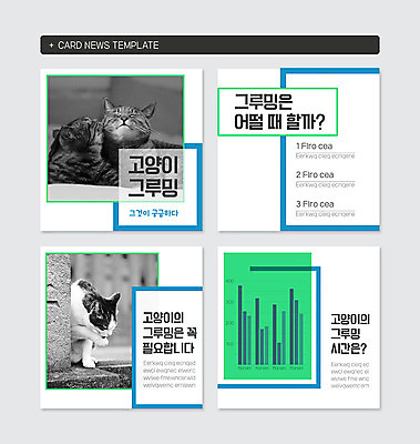 PSD 템플릿 웹템플릿 그래프 세마리 사람없음 초록색 파란색 고양이 반려 카드뉴스 반려묘 이미지템플릿 컬러 포유류 3 반려동물 파일형식