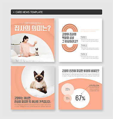 PSD 템플릿 여자 웹템플릿 두마리 한명 20대 성인 주황색 고양이 한국인 반려 성인여자한명만 카드뉴스 반려묘 냥집사 집사 이미지템플릿 1 컬러 2 포유류 사람 동양인 청년 반려동물 하인 합성어 여자한명만 성인여자만 파일형식