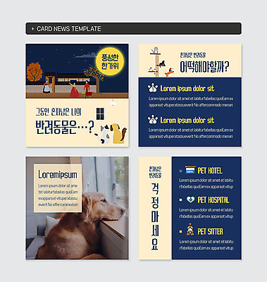 PSD 템플릿 여자 남자 웹템플릿 여러마리 여러명 성인 반려동물 추석 고양이 골든리트리버 강아지 고독 남색 반려 카드뉴스 이미지템플릿 동물 명절 감정 컬러 다수 포유류 사람 개 리트리버 파일형식
