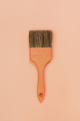 포토 JPG 스튜디오촬영 실내 누끼 사람없음 하이앵글 한개 오브젝트 페인트붓 플랫레이 리빙코랄 코랄 국내포토 1 뷰포인트 컬러 내부 붓 플랫 파일형식 트랜드컬러