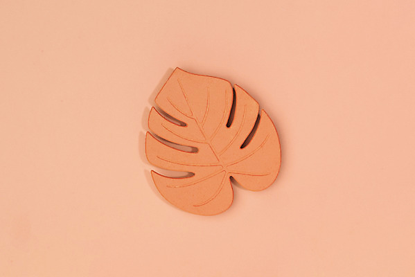 포토 JPG 스튜디오촬영 실내 누끼 사람없음 하이앵글 한개 컵받침 오브젝트 몬스테라 플랫레이 리빙코랄 코랄 국내포토 식물 1 뷰포인트 컬러 내부 플랫 받침대 파일형식 트랜드컬러