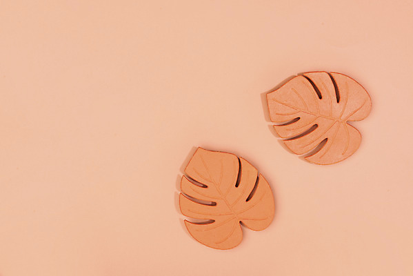 포토 JPG 스튜디오촬영 실내 누끼 사람없음 하이앵글 두개 컵받침 오브젝트 몬스테라 플랫레이 리빙코랄 코랄 국내포토 식물 뷰포인트 컬러 2 내부 플랫 받침대 파일형식 트랜드컬러