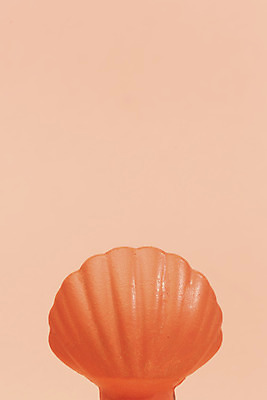 포토 JPG 스튜디오촬영 조개 실내 누끼 사람없음 한개 조개껍데기 오브젝트 플랫레이 리빙코랄 코랄 국내포토 1 컬러 어패류 내부 플랫 파일형식 트랜드컬러