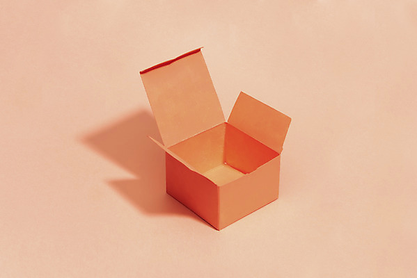 포토 JPG 스튜디오촬영 실내 누끼 사람없음 상자 하이앵글 한개 오브젝트 리빙코랄 코랄 국내포토 1 뷰포인트 컬러 내부 파일형식 트랜드컬러