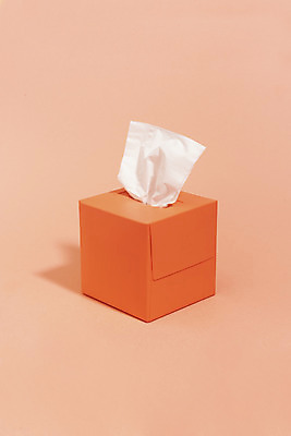 포토 JPG 스튜디오촬영 실내 누끼 사람없음 하이앵글 한개 화장지 오브젝트 리빙코랄 코랄 국내포토 1 뷰포인트 컬러 내부 파일형식 트랜드컬러