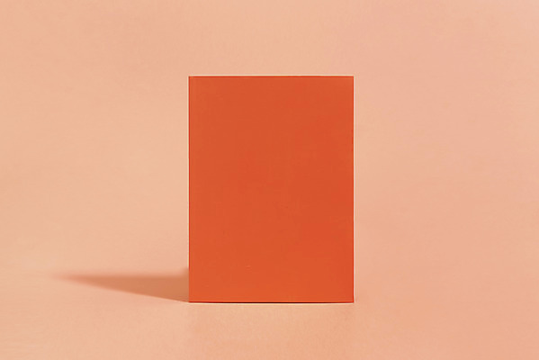 포토 JPG 스튜디오촬영 사각프레임 실내 누끼 사람없음 하이앵글 한개 공책 오브젝트 리빙코랄 코랄 국내포토 1 뷰포인트 컬러 문구용품 프레임 내부 사각형 파일형식 트랜드컬러
