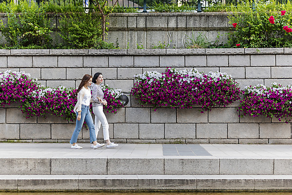 포토 JPG 주간 전신 우먼라이프 여자 꽃 여유 데이트 20대 성인 야외 두명 옆모습 캐주얼 친구 소풍 걷기 우정 산책 한국인 즐거움 힐링 청계천 싱글라이프 성인여자만 소확행 국내포토 자연요소 식물 라이프스타일 옷 감정 뷰포인트 관계 모션 휴식 서울 사람 동양인 청년 강 야외활동 신조어 랜드마크 여자만 성인만 파일형식