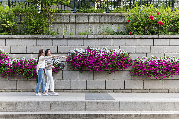 포토 JPG 주간 전신 우먼라이프 여자 꽃 여유 데이트 20대 성인 야외 두명 옆모습 캐주얼 친구 소풍 걷기 우정 산책 한국인 즐거움 힐링 청계천 싱글라이프 성인여자만 소확행 국내포토 자연요소 식물 라이프스타일 옷 감정 뷰포인트 관계 모션 휴식 서울 사람 동양인 청년 강 야외활동 신조어 랜드마크 여자만 성인만 파일형식